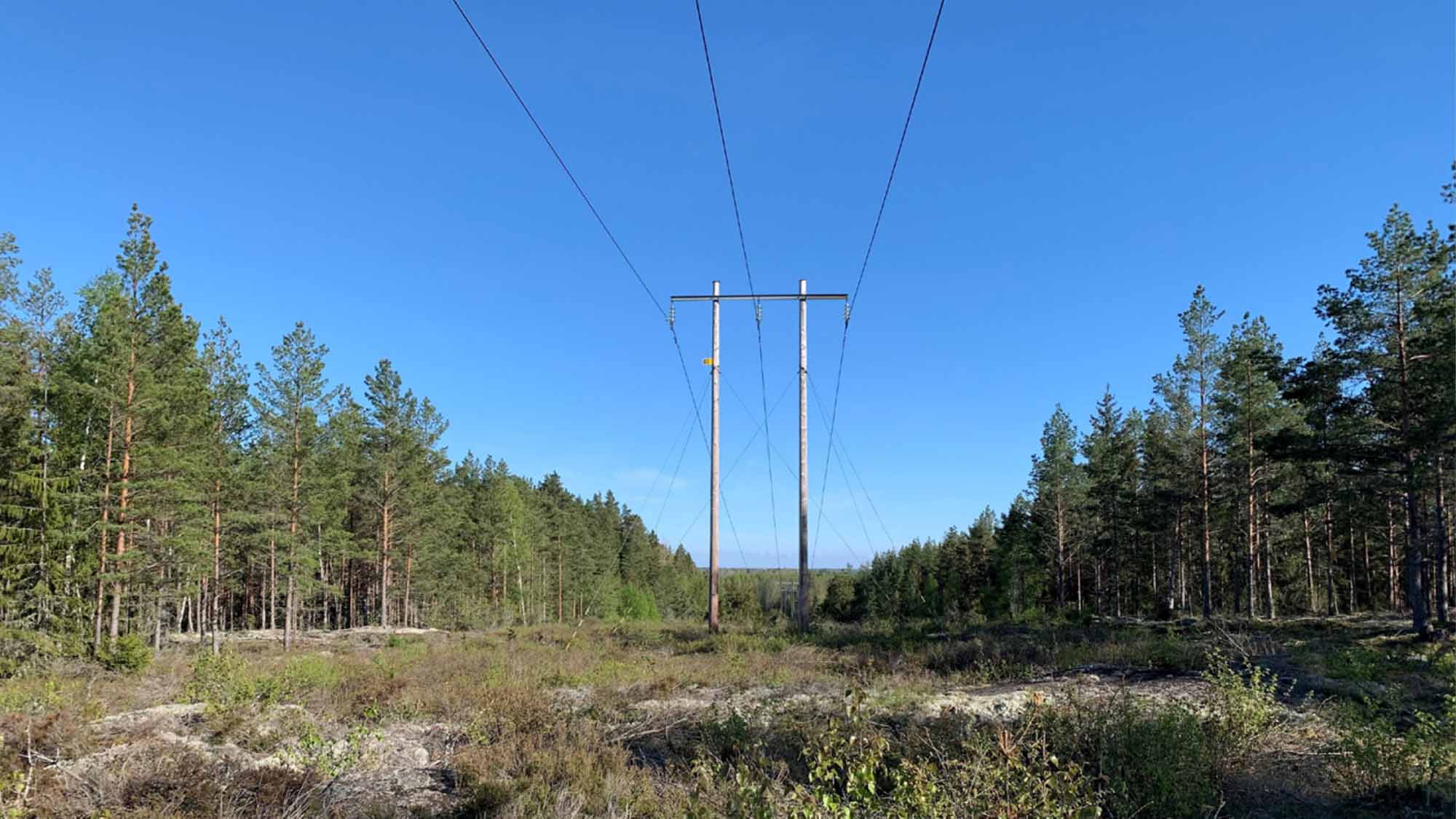 130 kV ledning i skogslandskap