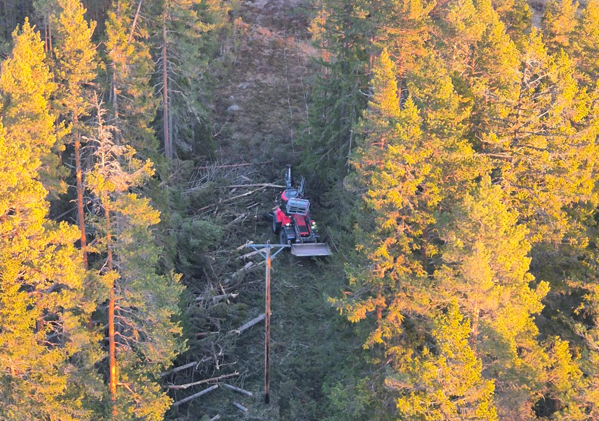 Montörer använder maskinen "Huddig" för att flytta på fallna träd i ledningsgata.