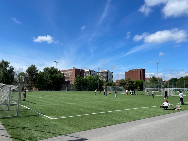 Stadshagens IP