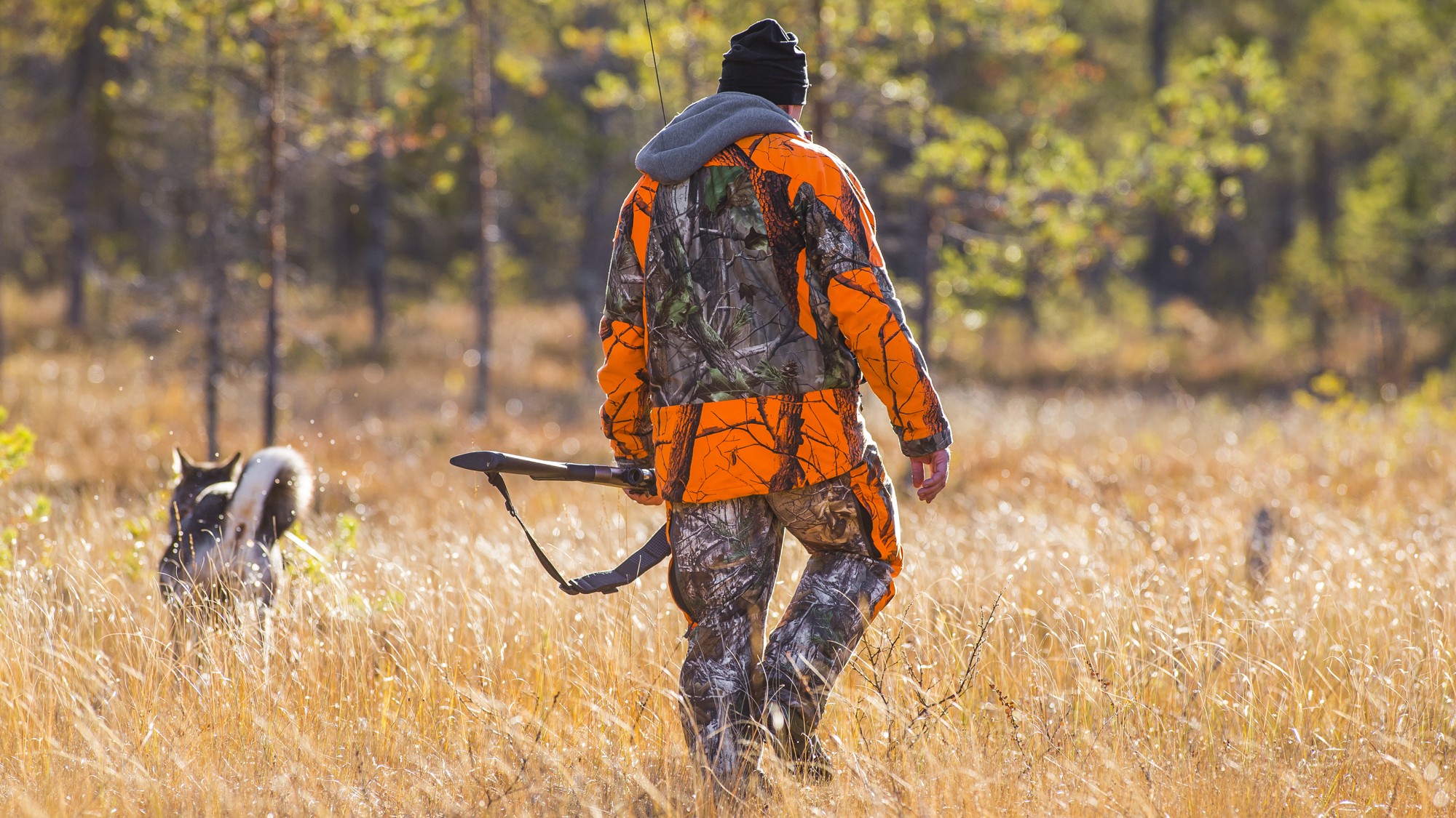 En man i en orange jacka går genom ett fält tillsammans med en hund.