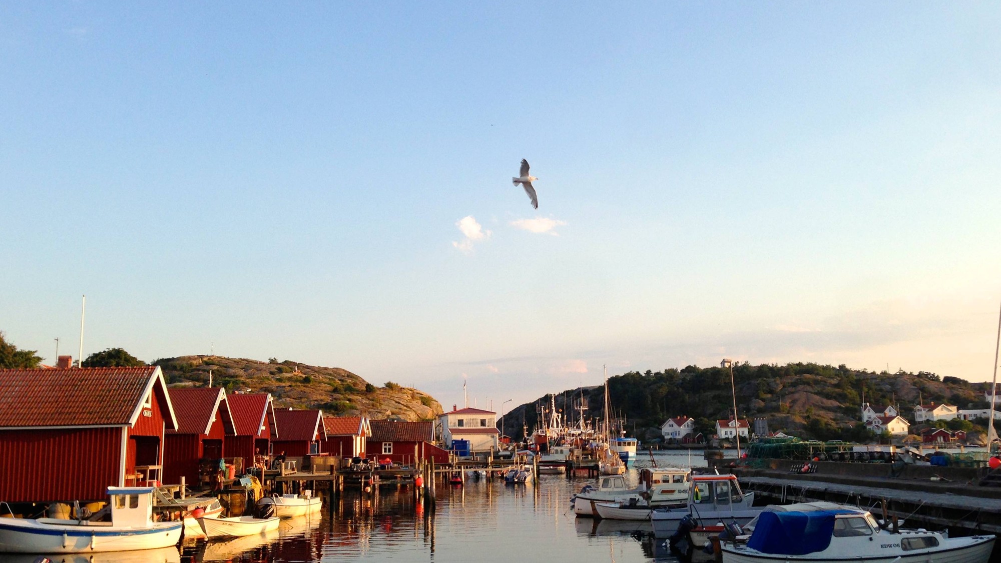 R&ouml;da stugor precis vid vattnet. En m&aring;s seglar &ouml;ver en bl&aring; himmel