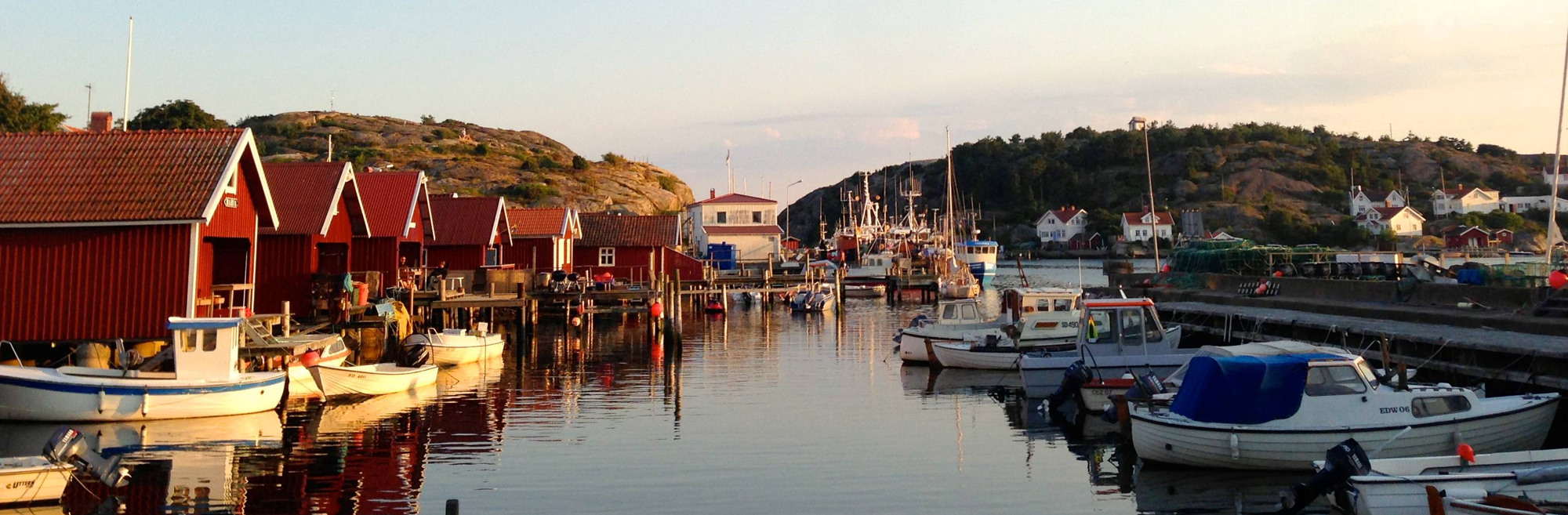 En hamn fylld med massor av små båtar.