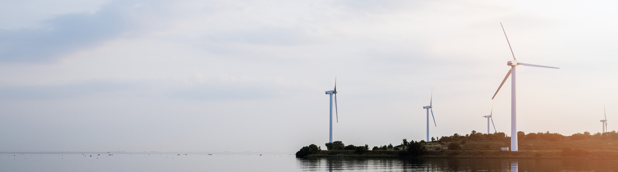 Vindkraftverk står längs en kustlinje och speglas i ett lugnt vatten.